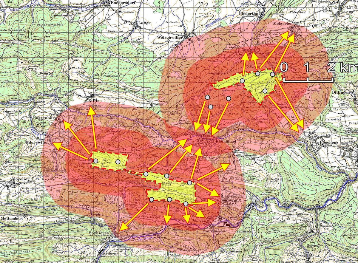 Lärmimmissionen Chall und Liesberg: Die roten Gebiete wären von einer Überschreitung der zulässigen Lärmpegel gemäss LSV ES II vor allem nachts betroffen (LK50 © swisstopo).